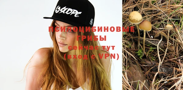 не бодяженный Краснослободск