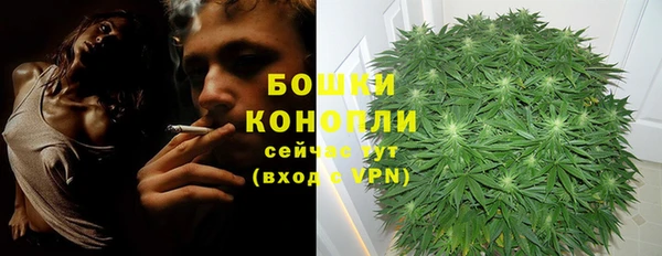 spice Кукмор