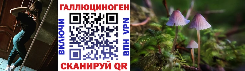 Галлюциногенные грибы Cubensis  Отрадное 