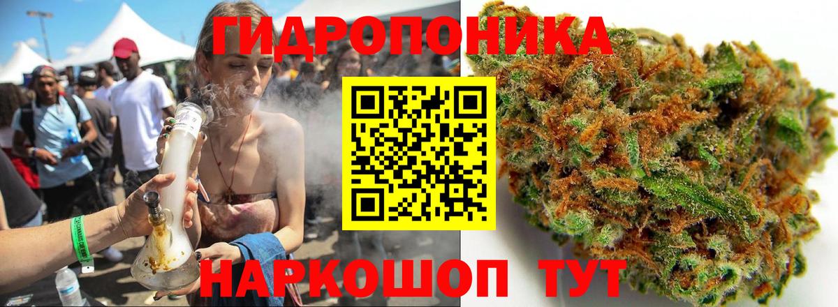 Канабис VHQ  Шишки марихуана план  Бошки марихуана индика  Отрадное  Вход с VPN 